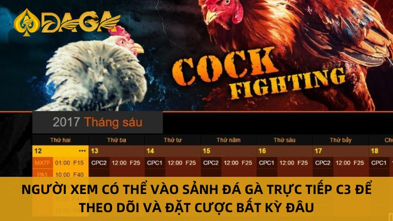 Xem Đá Gà Trực Tiếp C3 Đỉnh Cao Tại Nhà Cái Daga 6 Ưu điểm khi xem đá gà trực tiếp C3
