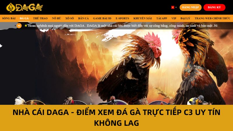 Xem Đá Gà Trực Tiếp C3 Đỉnh Cao Tại Nhà Cái Daga 7 Xem đá gà trực tiếp C3 tại nhà cái daga